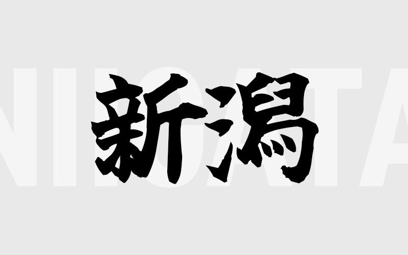 新潟エリアの特色（風俗・メンズエステ業界）